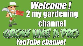 Welcome To My GrowLikeAPro Gardening YouTube Channel