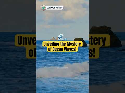 Unveiling the Mystery of Ocean Waves! #CuriousMindsVN #CuriousMinds  #DidYouKnow  #Science