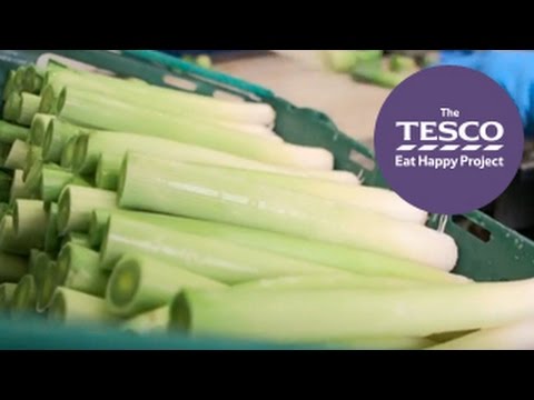 Learn about the Farm to Fork journey of Long Leeks (Trailer)