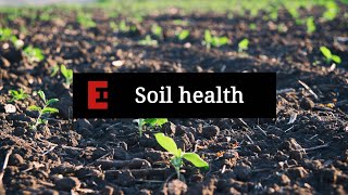 Soil health: Why is it important?