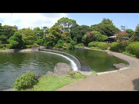 行船公園 主池 2023年8月