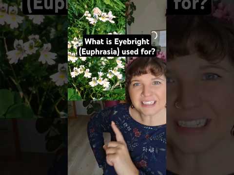 What is Eyebright (Euphrasia) used for?