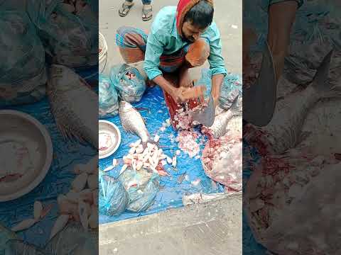 amazing cutting skills | giant fish cutting skills by expert fish cutter