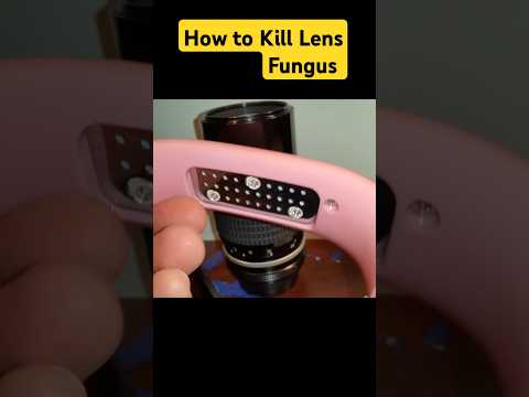 How to Kill Lens Fungus UV LIGHT  #nikon #photography #lens #camera #fungus #howto #diy #picoftheday