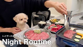 Night routine/ A dog and a bachelor