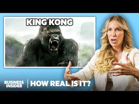 Ape Expert Rates 10 Monkey And Ape Attacks In Movies And TV | How Real Is It | Insider