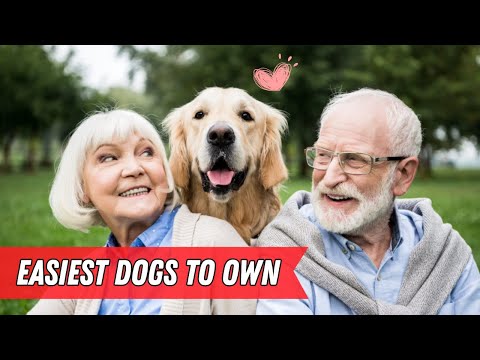 These Surprising Dog Breeds are PERFECT for Seniors