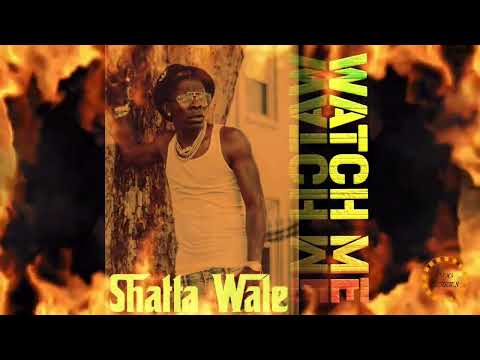 Shatta Wale - Watch Me (Official Audio)