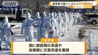 岩手県で鳥インフル　40万羽の殺処分【知っておきたい！】【グッド！モーニング】(2025年1月12日)