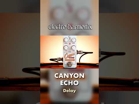 EHX Pico Canyon Echo Delay Pedal Demo