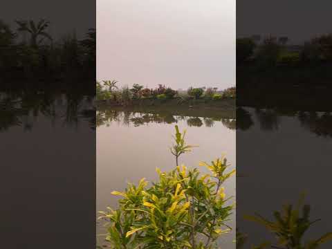 Village Beauty, Murshidabad #shorts