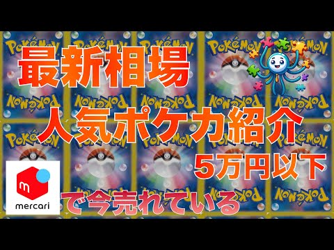 【ポケカ】今売れている5万円以下の注目ポケカ選　2024/12/1 4時 更新