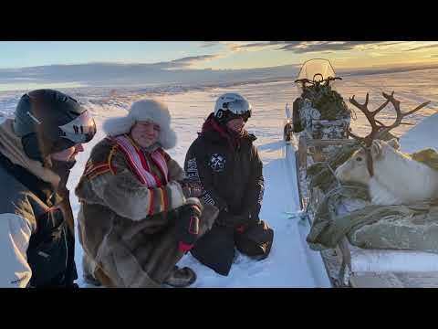 KEiiNO sings Spirit in the Sky for a Reindeer on the Tundra in Kautokeino