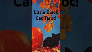 #tarot #tarotcardsdaily #witchy #twinflame #soulmate #lover #blackcats #cat #growth