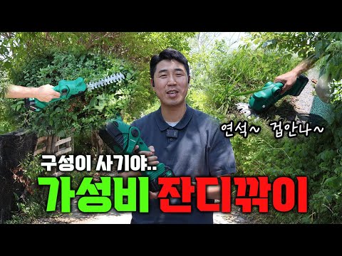 잔디깍기 트리머 두가지 기능을 하나로~!! 일단 구성이 말이 안됩니다..feat. 나리온 미니 전정기