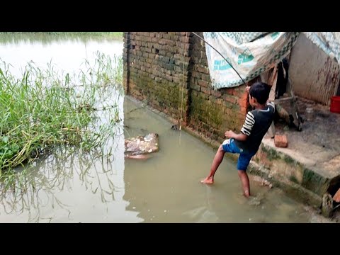 Hook fishing in Village| Hook fishing video | Hook fishing video for kids