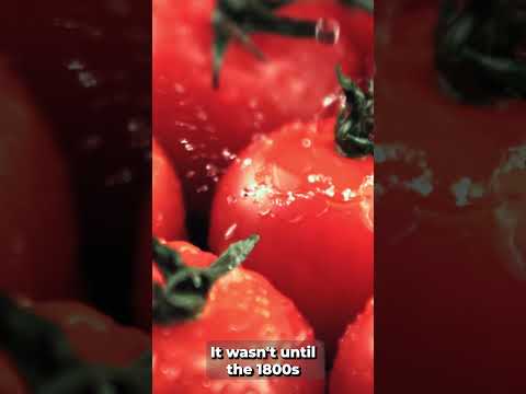 Red Peril: The Tomato Conspiracy 🍅