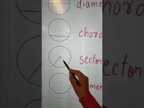 Circle Terminology | Parts of a circle | Radius | Diameter | Chord | Sector #Segment #radius #circle