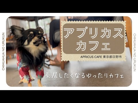 ApricusCafe-アプリカスカフェ-のご紹介〜犬と行けるカフェ〜東京都日野市