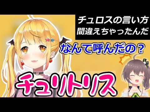 夢の国でまつりラインを越えていくメルちゃん【ホロライブ切り抜き/夜空メル/夏色まつり】