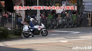 【白バイの取締】信号無視したバイクを追う女性白バイ隊員！