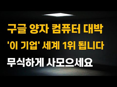 [주식] 구글 양자 컴퓨터 대박 '이 기업' 세계 1위 됩니다. 무식하게 사모으세요.[양자컴퓨터관련주, 양자컴퓨터대장주, 아이온큐목표주가, IONQ전망, 2025년주식전망]