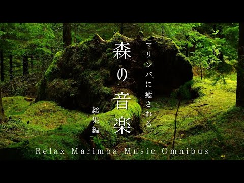 【マリンバと森の作業用BGM🌲３時間まとめ🌲】集中できるマリンバと自然の音 | 森林浴で癒し＆リラックス効果抜群 | ヒーリングミュージック