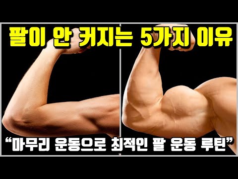 팔이 안 커지는 5가지 이유 [feat. 팔 운동 루틴]