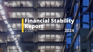 Financial Stability Report 2024 – In Brief