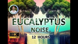 Eucalyptus Noise for Healing | 12 Hours | Black Screen | Helps Breathing, Sleep, Tinnitus Relief