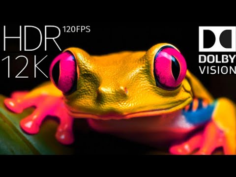 Best of Dolby Vision 12K HDR 120fps