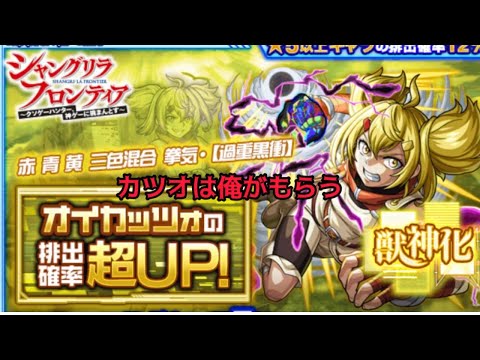 【モンスト】オイカッツォを求めてます。。。