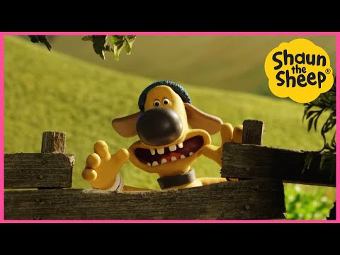 🐑 Shaun The Sheep YouTube Special 🐑 The Pelican🐑 Brand New Episodes, Cartoons for kids