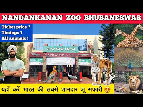 Nandankanan zoo bhubaneswar zoo - nandankanan zoo safari all animals | Nandankanan zoo ticket price