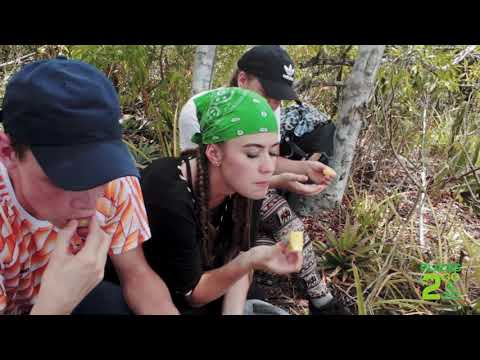 APIAPAATIE EXPERIENCE - SURINAME