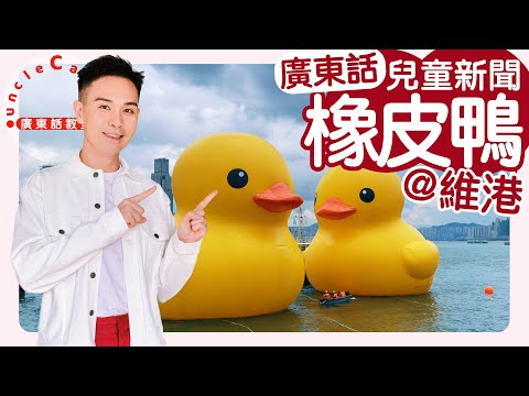 【巨型橡皮鴨遊到維港】Double Ducks "Swimming" in Victoria Harbour I 黃鴨 I 公共藝術 I 兒童廣東話新聞報道 UCC News I 廣東話教室