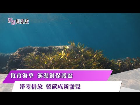 《新聞思想啟》全台第一個 澎湖海草保護區 淨零藍碳搶手 海草床.紅樹林拚復育! 第147集-Part4