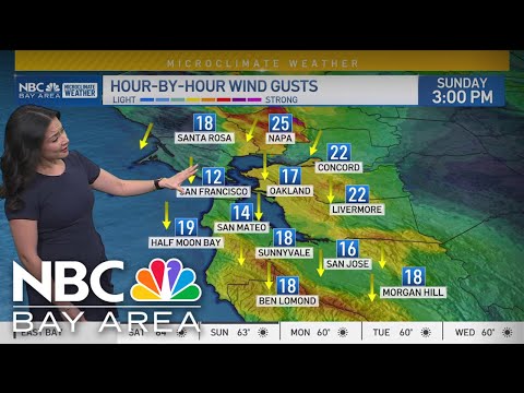 Bay Area forecast: Dry and windy