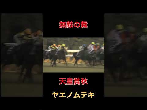 無敵の舞ヤエノムテキ【競馬】#競馬#ヤエノムテキ#無敵