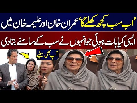 Islamabad: Former Prime Minister Imran Khan's Sister Aleema Khan Talks to Media