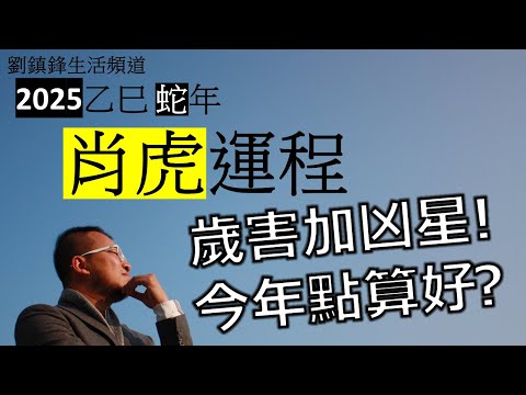 2025年肖虎運程| 歲害加凶星 今年點算好 | 害太歲| 劉鎮鋒生活頻道