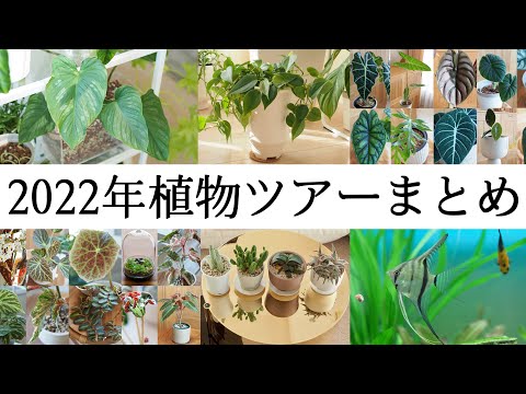 「2022年の植物ツアー」を全てまとめてみました！