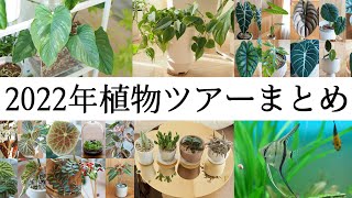 「2022年の植物ツアー」を全てまとめてみました！