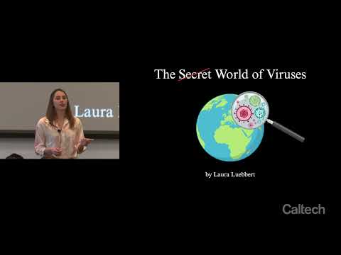 Laura Luebbert - Three Minute Thesis - 4/18/2024