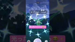 【ポケモンGO】メガラティオス&メガラティアスで高個体&色違いチャレンジ！#nintendo #pokemon #pokemongo #ポケモンgo #色違い #レイド #ラティオス#ジャカルタ