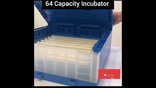 64 Capacity Egg Incubator #automaticeggincubator #eggincubator #64eggincubator #incubator