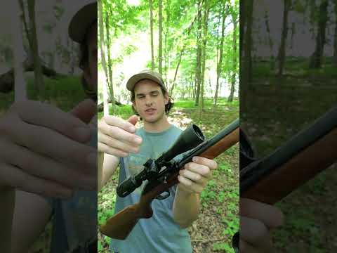 Cheap Vs Expensive .22LR #hunting #outdoors #shorts