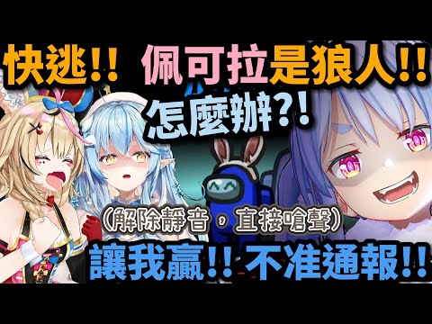 嘶聲力竭的波爾卡! 確定勝利的佩可拉直接"解除靜音"對著存活的兩人嗆聲w【hololive中文】 【Vtuber精華】【兔田佩可拉/雪花菈米/角卷綿芽/沙花叉克蘿耶/戌神沁音】