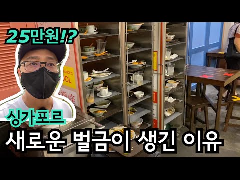 싱가포르 25만 원짜리 황당한 벌금이 생긴 이유 | 이민생활 | 역사