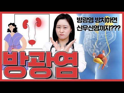 방광염을 방치하면 이런 질환까지 걸릴 수 있다?